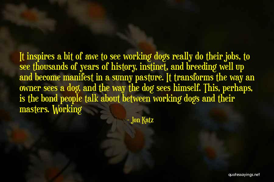 G N Ration Identitaire Quotes By Jon Katz G N Ration Identitaire Quotes By Jon Katz