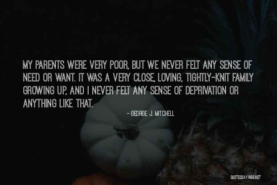 G Rlitz Hotels Quotes By George J. Mitchell G Rlitz Hotels Quotes By George J. Mitchell