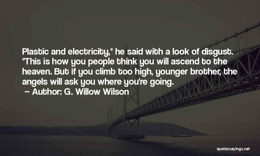G. Willow Wilson Quotes 1353117