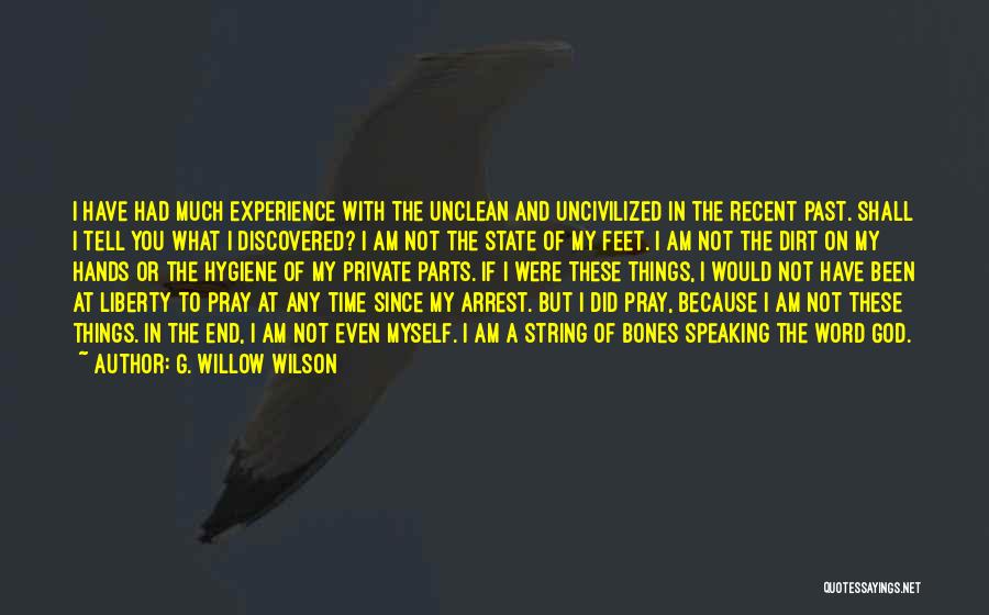 G. Willow Wilson Quotes 1519026