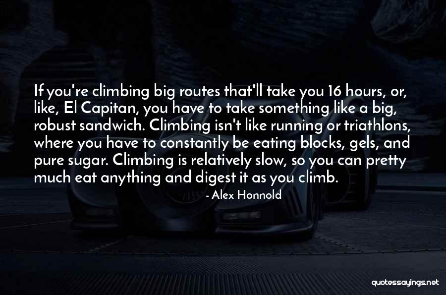 Gabai In Shul Quotes By Alex Honnold Gabai In Shul Quotes By Alex Honnold