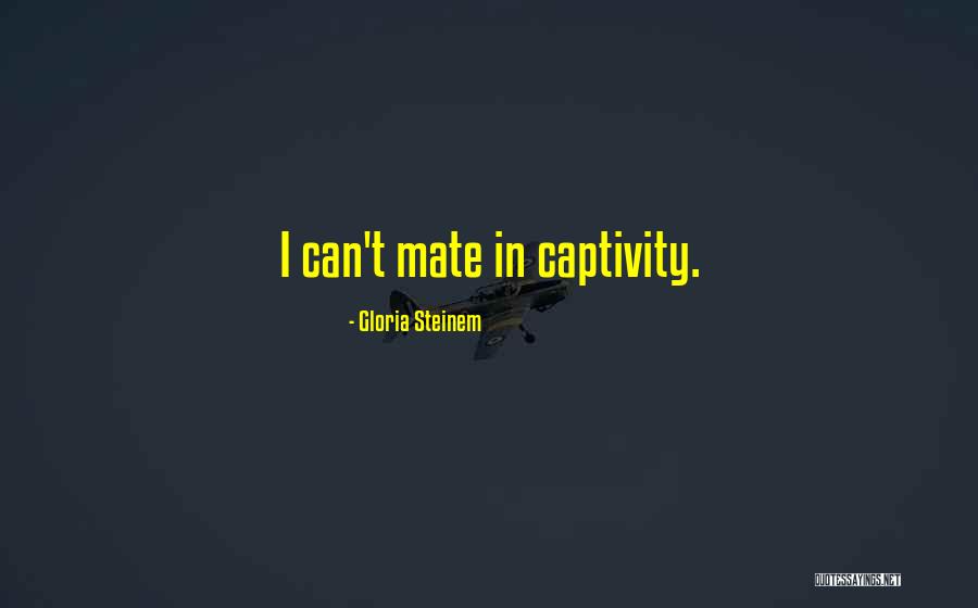 Gabay Chords Quotes By Gloria Steinem Gabay Chords Quotes By Gloria Steinem