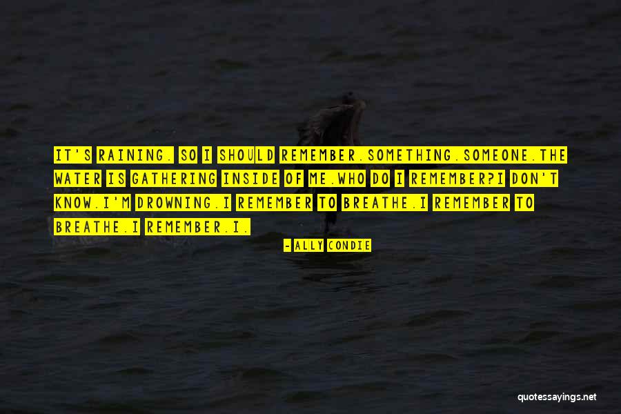 Gabbay China Quotes By Ally Condie Gabbay China Quotes By Ally Condie