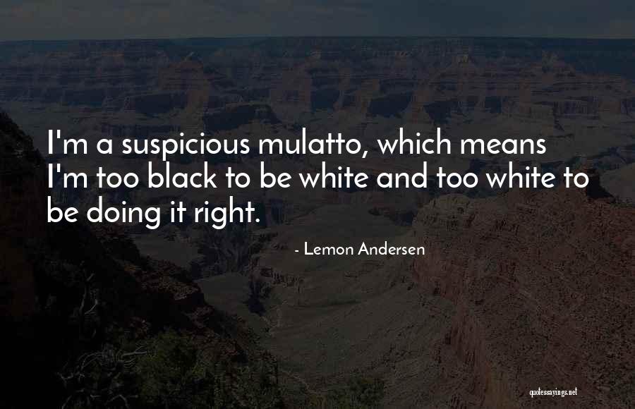 Gabbers Ziggo Quotes By Lemon Andersen Gabbers Ziggo Quotes By Lemon Andersen