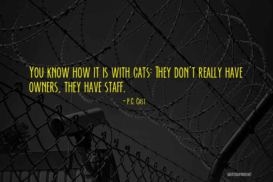 Gabeira Maya Quotes By P.C. Cast