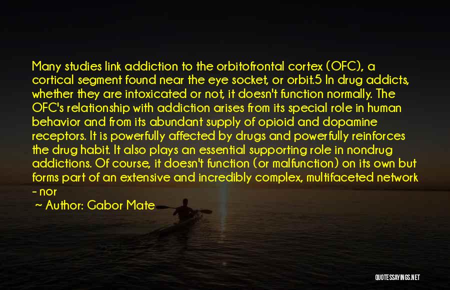 Gabor Mate Quotes 1117196