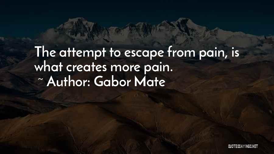 Gabor Mate Quotes 1851267