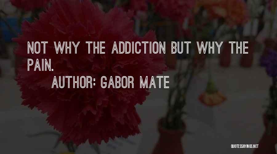 Gabor Mate Quotes 2069527