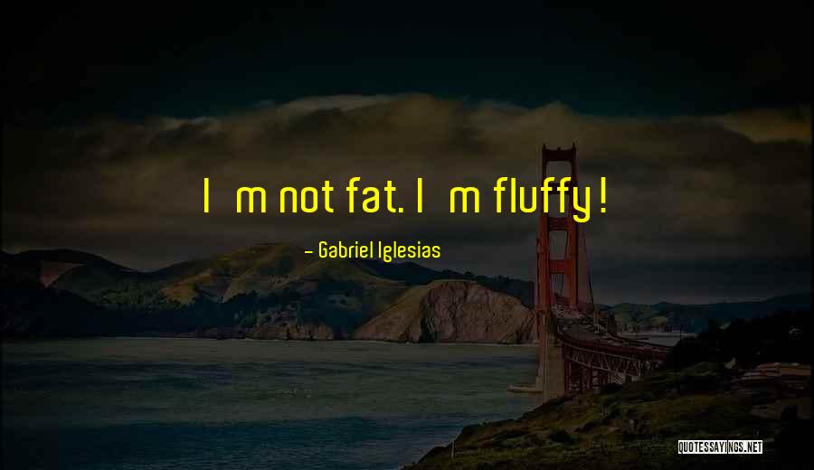 Gabriel Iglesias Fluffy Quotes By Gabriel Iglesias