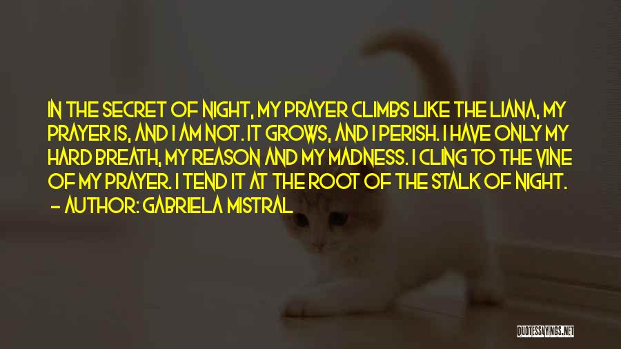 Gabriela Mistral Quotes 567634