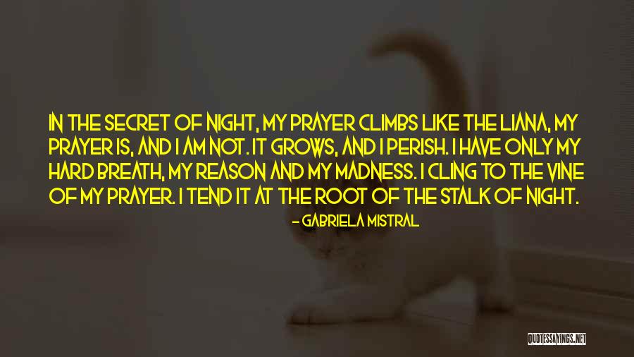 Gabriela Mistral Quotes 567634 Gabriela Mistral Quotes 567634