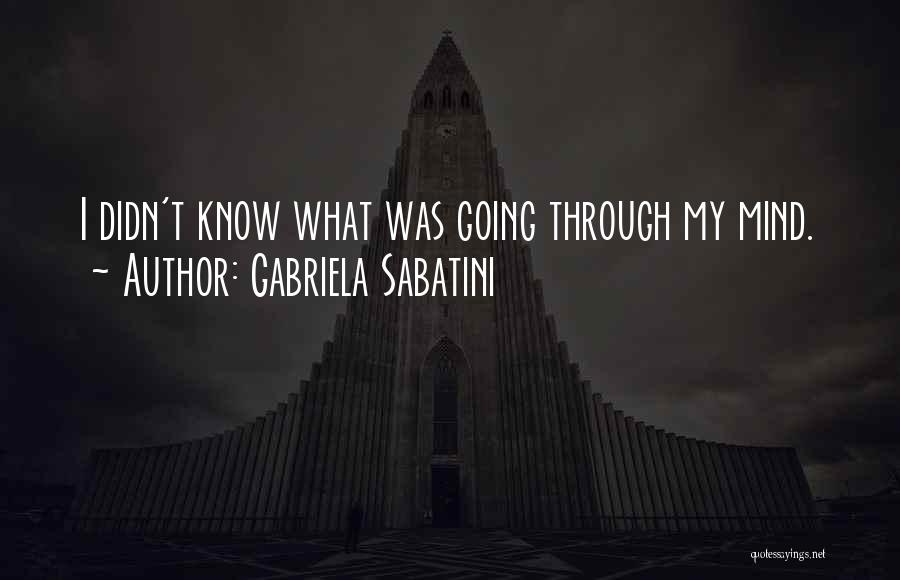 Gabriela Sabatini Quotes 864963