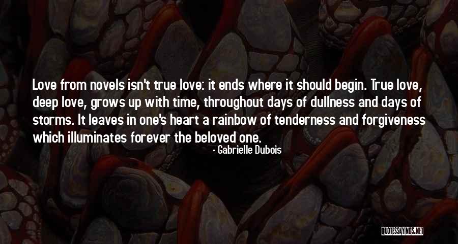 Gabrielle Dubois Quotes 1353642