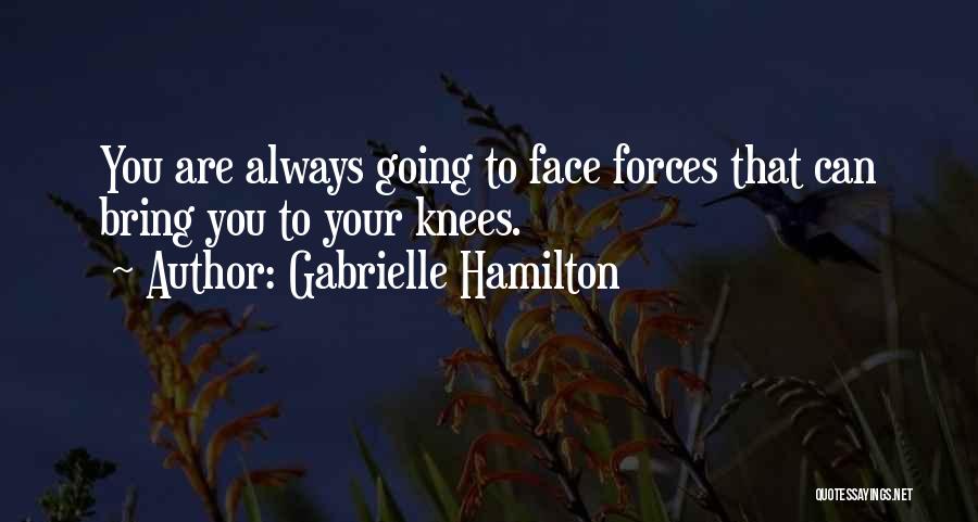 Gabrielle Hamilton Quotes 2173471