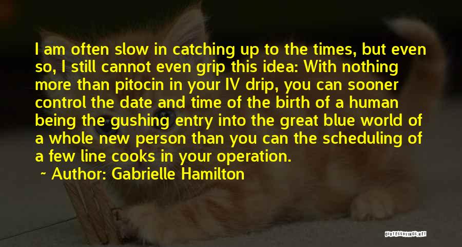 Gabrielle Hamilton Quotes 904548