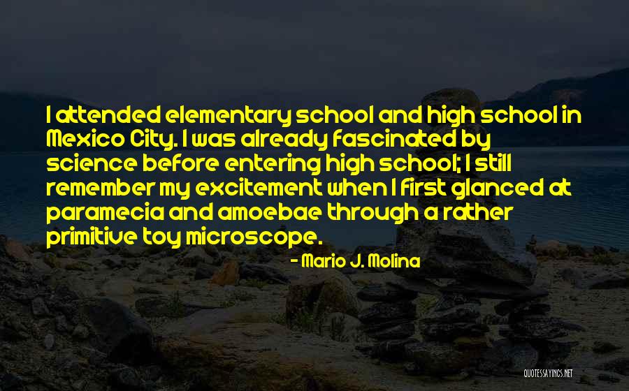 Gaby Espino Quotes By Mario J. Molina Gaby Espino Quotes By Mario J. Molina