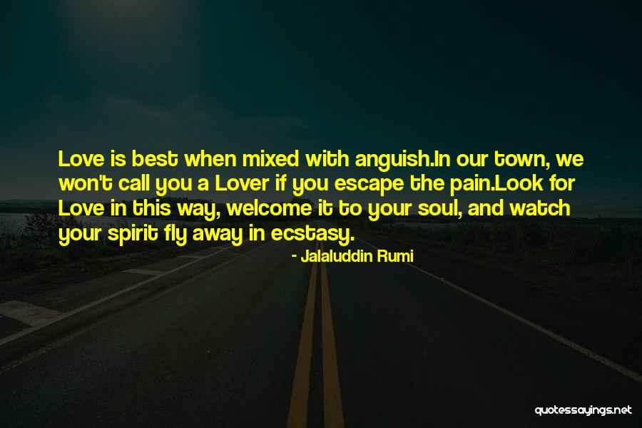 Gaccione Bob Quotes By Jalaluddin Rumi Gaccione Bob Quotes By Jalaluddin Rumi