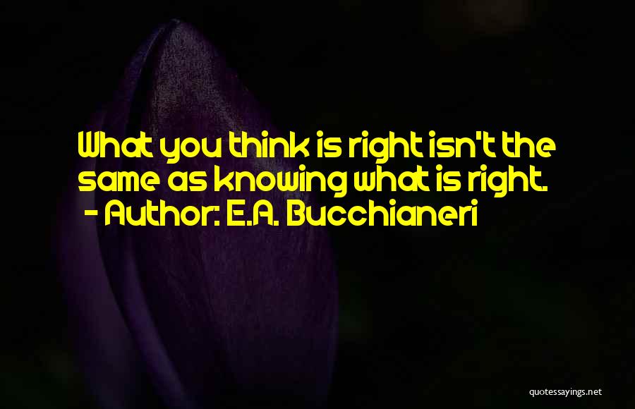 Gadfly Quotes By E.A. Bucchianeri