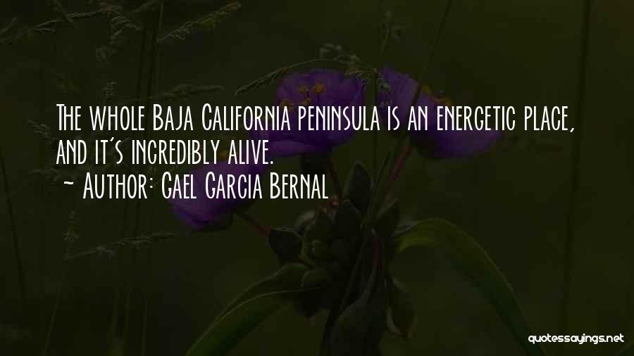 Gael Garcia Bernal Quotes 1752723