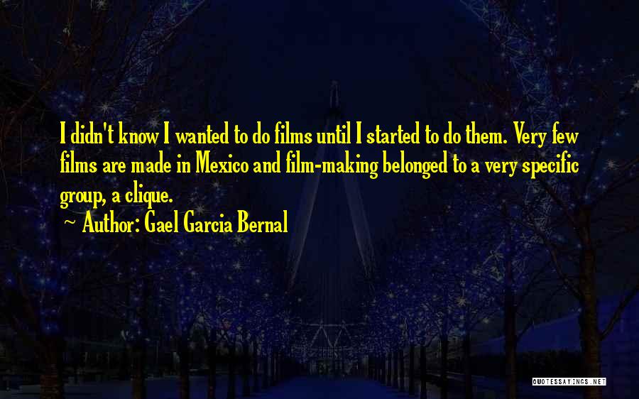 Gael Garcia Bernal Quotes 2108158