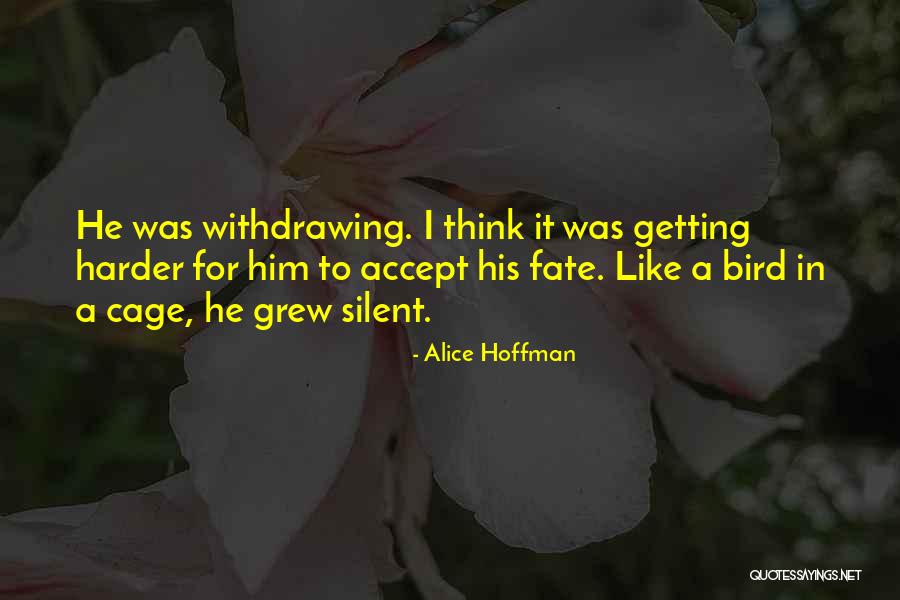 Gaelle Garcia Quotes By Alice Hoffman Gaelle Garcia Quotes By Alice Hoffman