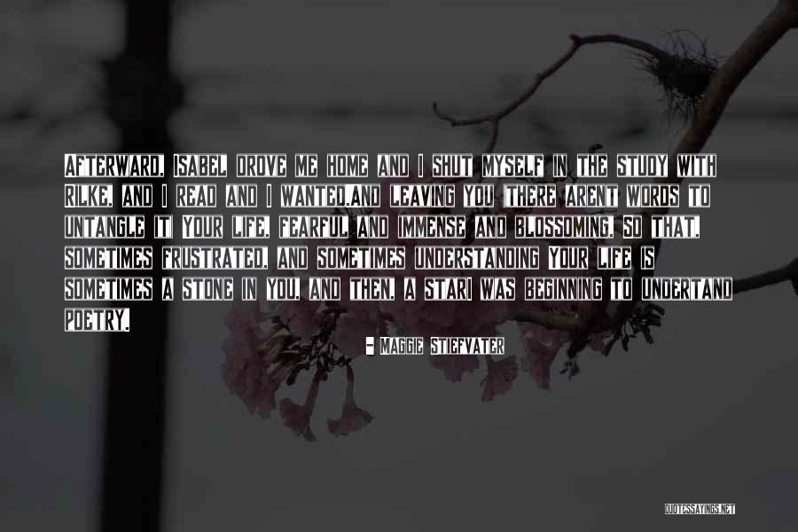 Gagik Karapetyan Quotes By Maggie Stiefvater Gagik Karapetyan Quotes By Maggie Stiefvater