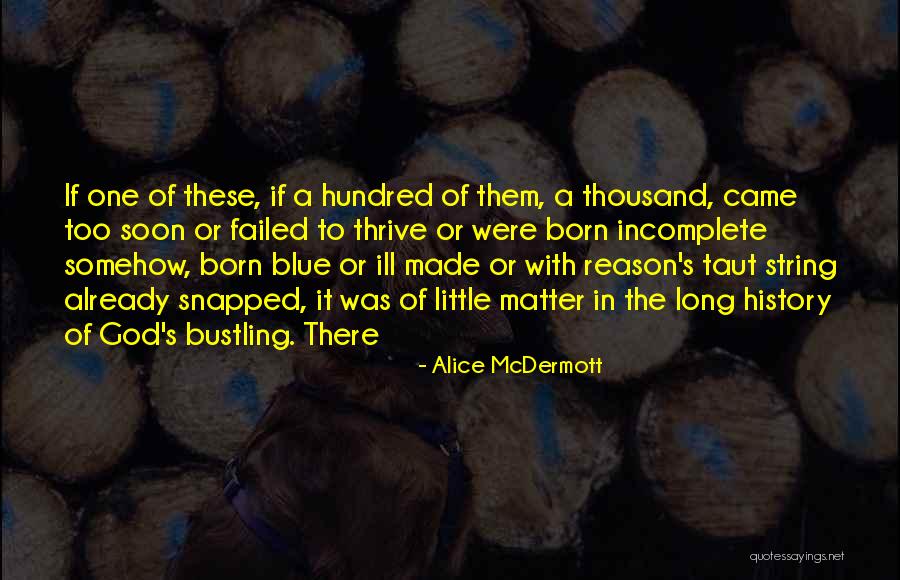Gaglianos Restaurant Quotes By Alice McDermott Gaglianos Restaurant Quotes By Alice McDermott