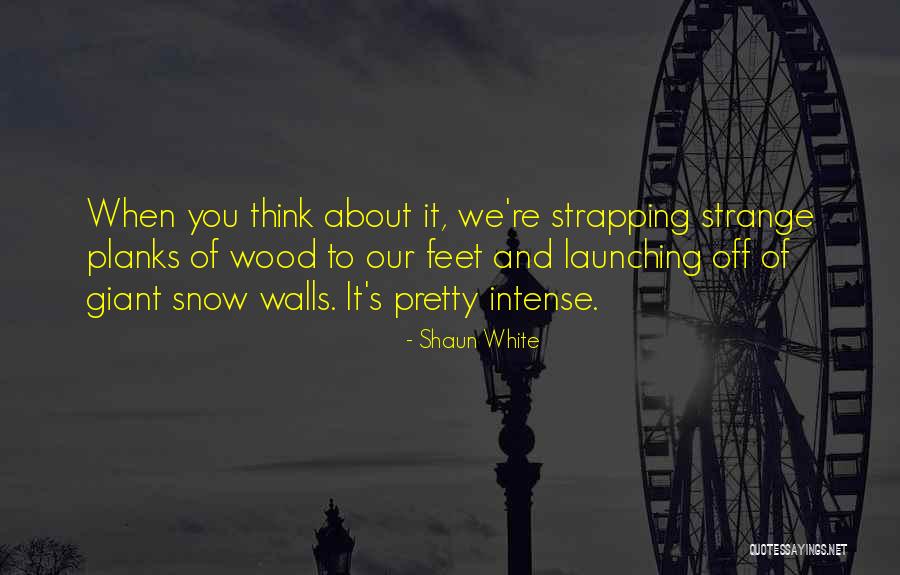 Gagliardini And Campagna Quotes By Shaun White Gagliardini And Campagna Quotes By Shaun White