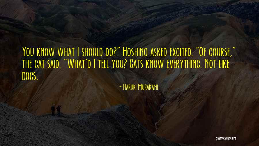 Gagliardotto Aldo Quotes By Haruki Murakami Gagliardotto Aldo Quotes By Haruki Murakami