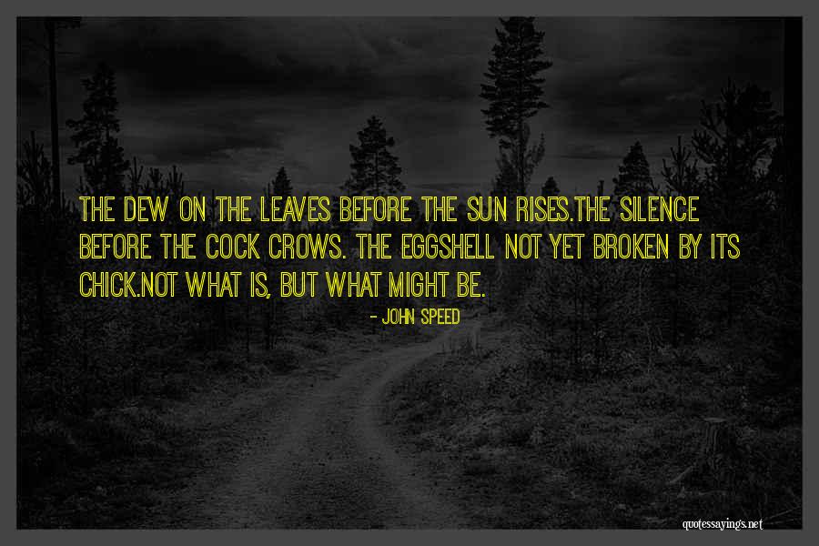 Gaian Solutions Quotes By John Speed Gaian Solutions Quotes By John Speed