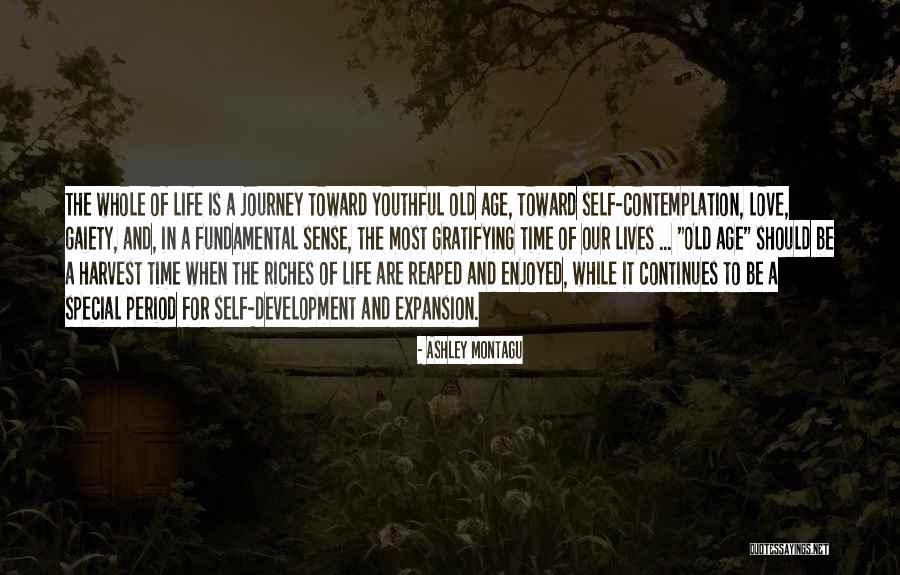Gaiety Quotes By Ashley Montagu Gaiety Quotes By Ashley Montagu