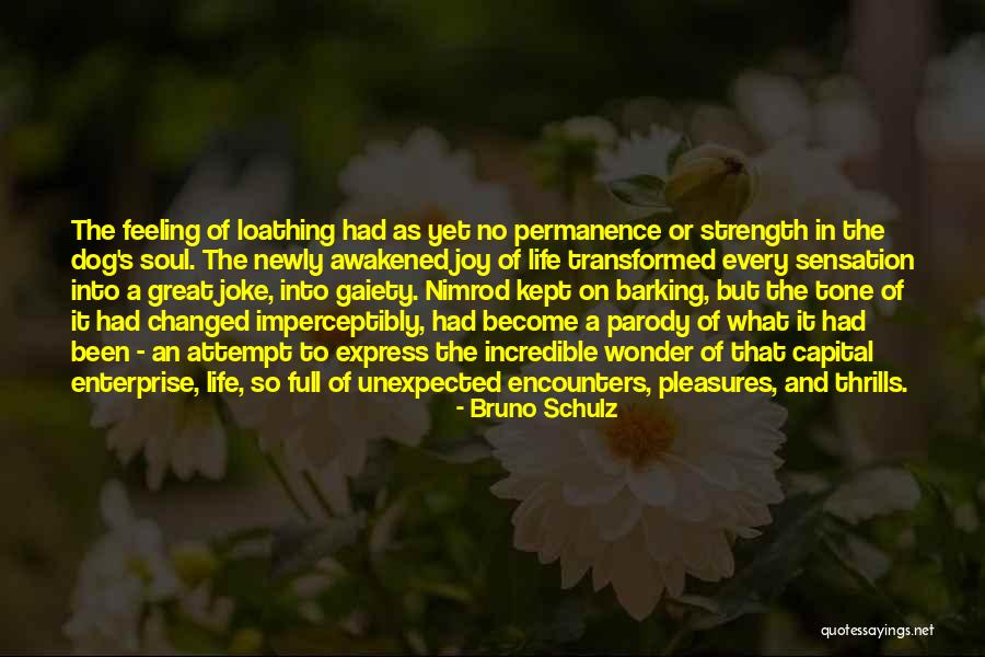 Gaiety Quotes By Bruno Schulz Gaiety Quotes By Bruno Schulz
