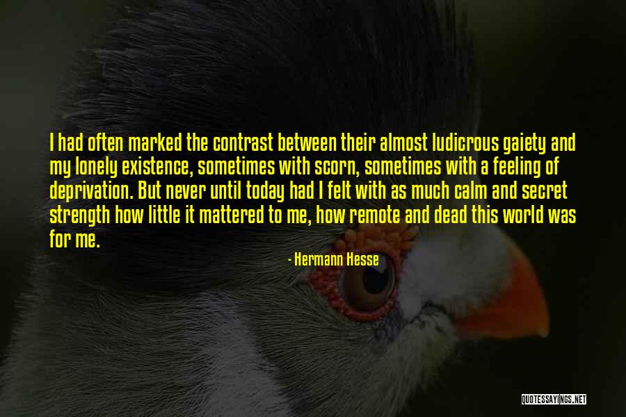 Gaiety Quotes By Hermann Hesse Gaiety Quotes By Hermann Hesse