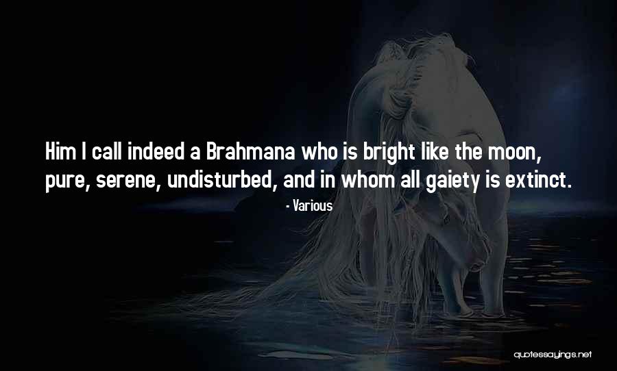 Gaiety Quotes By Various Gaiety Quotes By Various