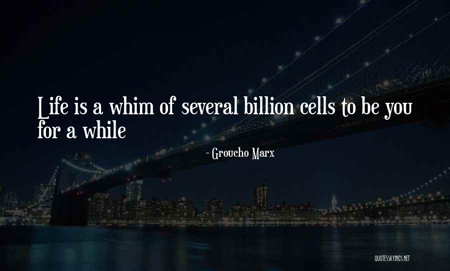 Gail Dorjee Quotes By Groucho Marx Gail Dorjee Quotes By Groucho Marx