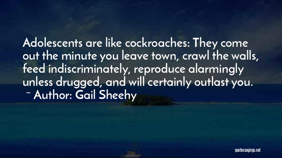 Gail Sheehy Quotes 1194484