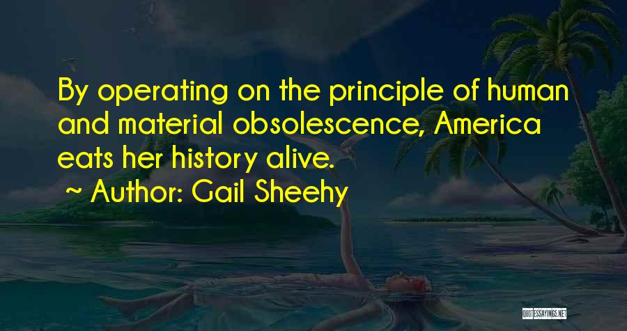 Gail Sheehy Quotes 1913377