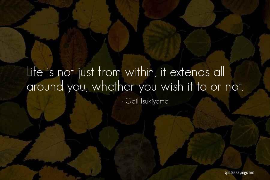 Gail Tsukiyama Quotes 2030485 Gail Tsukiyama Quotes 2030485