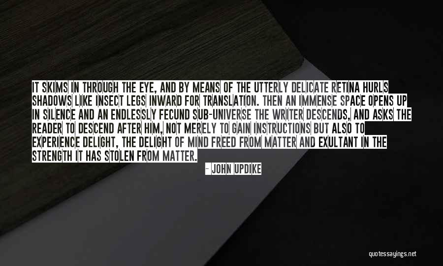 Gain Experience Quotes By John Updike