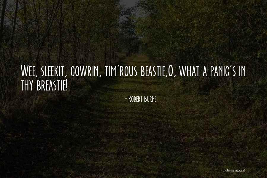 Gainer Belly Quotes By Robert Burns