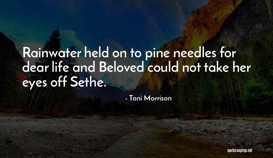 Gainsford Hotel Quotes By Toni Morrison Gainsford Hotel Quotes By Toni Morrison
