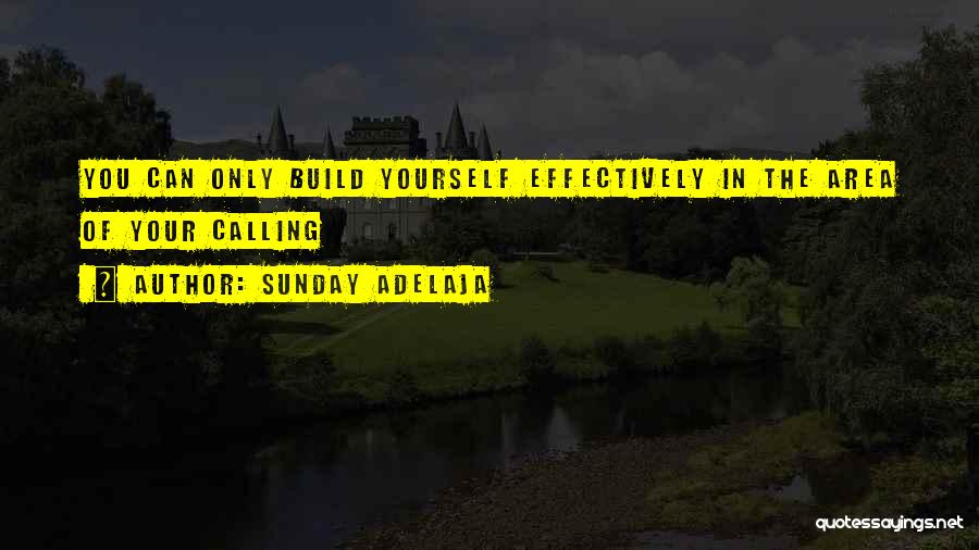 Gainsville Quotes By Sunday Adelaja