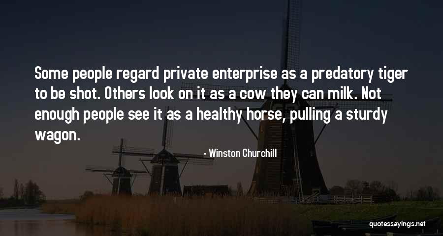 Gainyour Quotes By Winston Churchill Gainyour Quotes By Winston Churchill