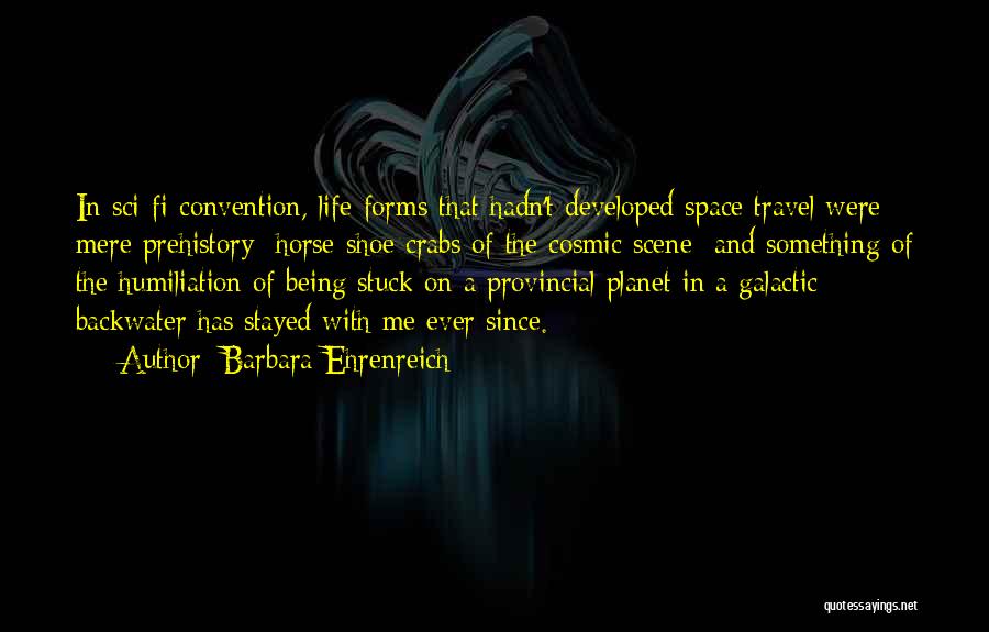 Galactic Quotes By Barbara Ehrenreich