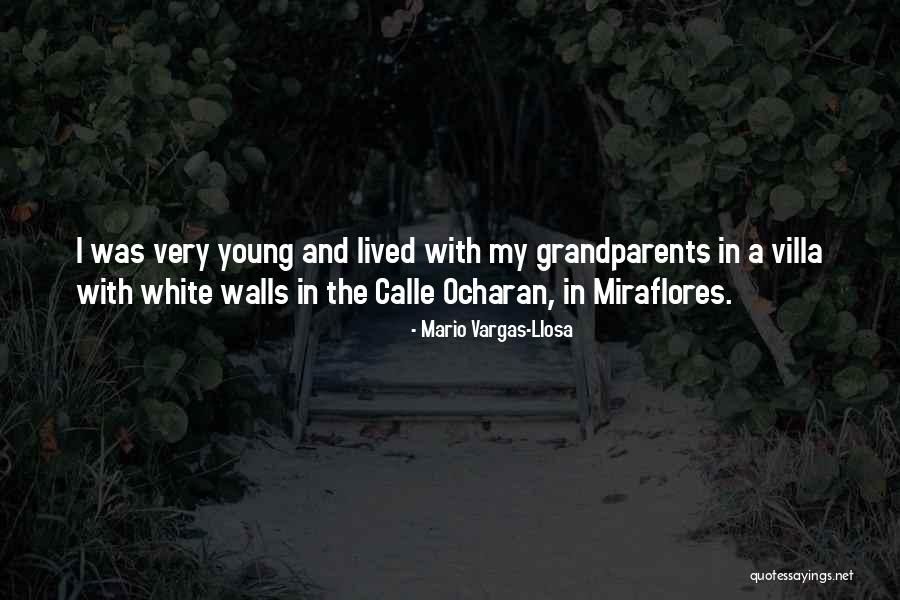 Galadhon Quotes By Mario Vargas-Llosa Galadhon Quotes By Mario Vargas-Llosa
