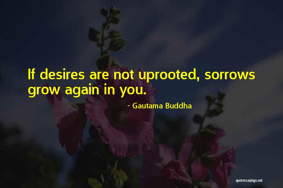 Galahad Kingsman Quotes By Gautama Buddha Galahad Kingsman Quotes By Gautama Buddha