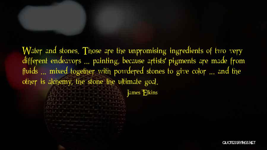 Galand Revolver Quotes By James Elkins