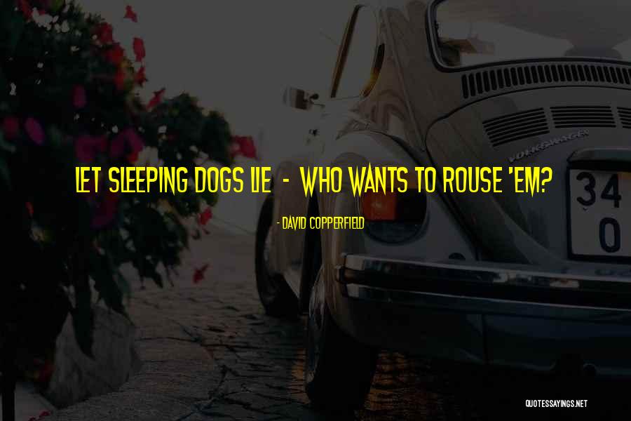 Galantes Dicha Quotes By David Copperfield Galantes Dicha Quotes By David Copperfield