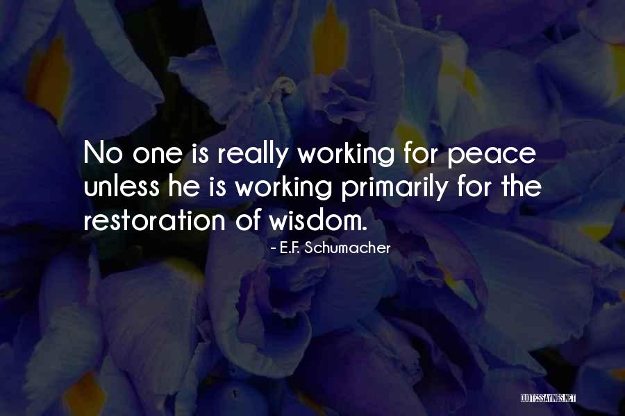 Galantucci Dentist Quotes By E.F. Schumacher Galantucci Dentist Quotes By E.F. Schumacher