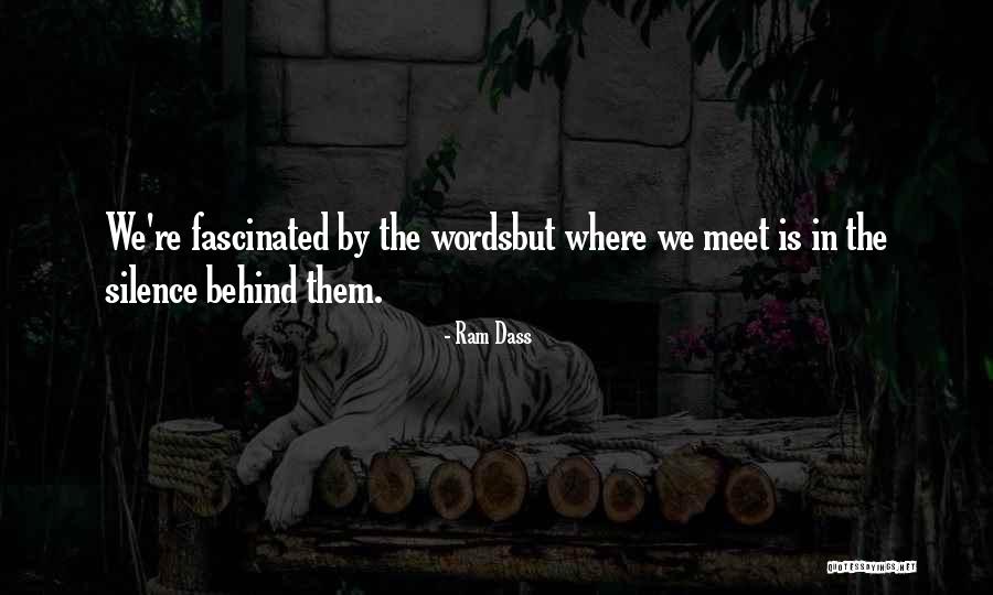 Galardi Rosenblum Quotes By Ram Dass